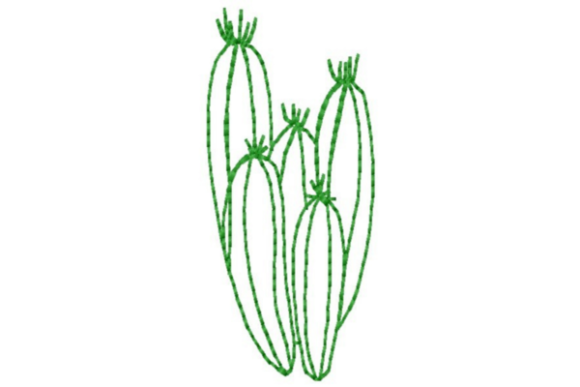 Stitching the Southwest: A Designer's Review