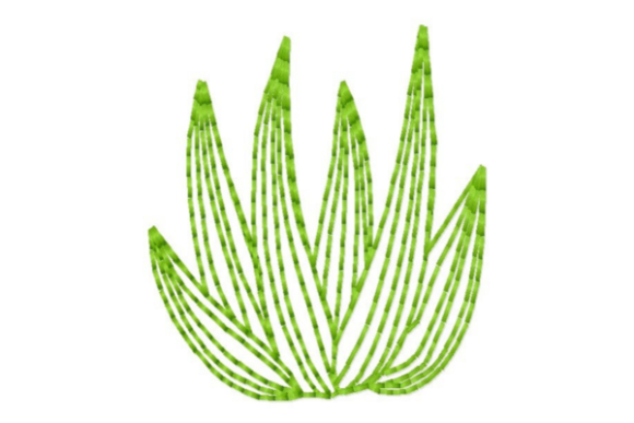 Succulent Leaves Outline Embroidery for Boutique Apparel
