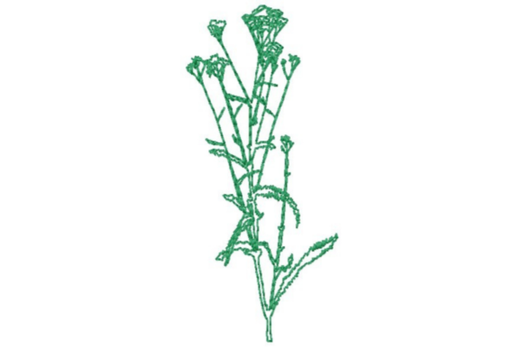 Wildflower Outline: A Seasonal Embroidery Review